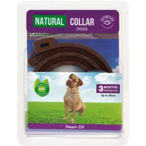 Protect against infestation of fleas, ticks, mites and mosquitoes for up to 90 days with a natural anti-insect dog collar with neem, geraniol and lavender oils. This water-proof and hypoallergenic collar with an ergonomic rubber collar is ideal for lactating and pregnant females.