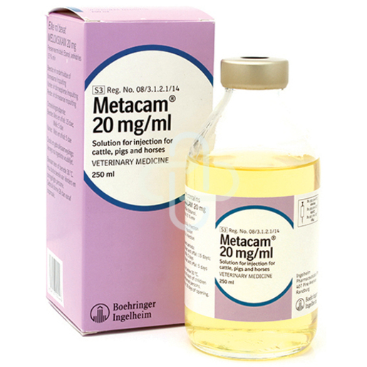 Transpharm