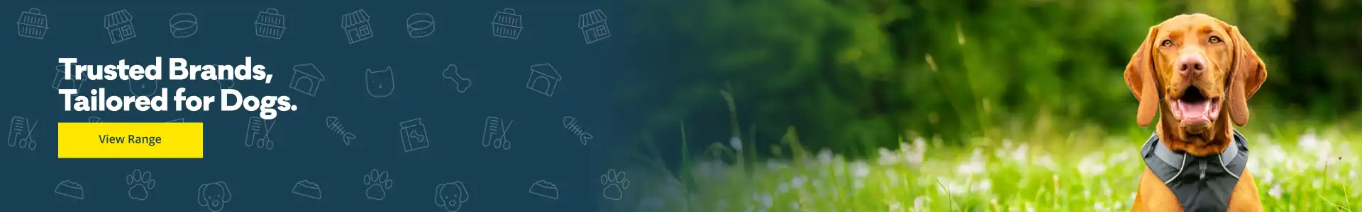 PSS-193131-2025-Generic-Web-Banners-Dog-Landing-Page-Header-Banner-Hero-1920x300.webp